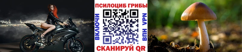 Псилоцибиновые грибы MAGIC MUSHROOMS  Давлеканово 